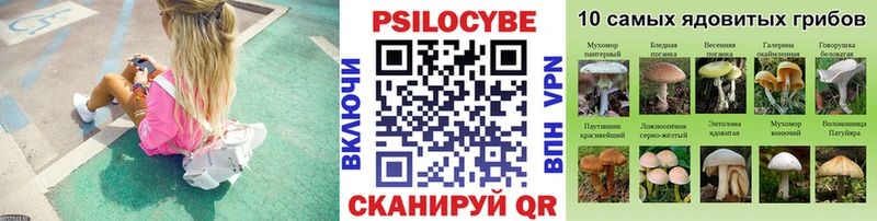 хочу   Кингисепп  Галлюциногенные грибы MAGIC MUSHROOMS 