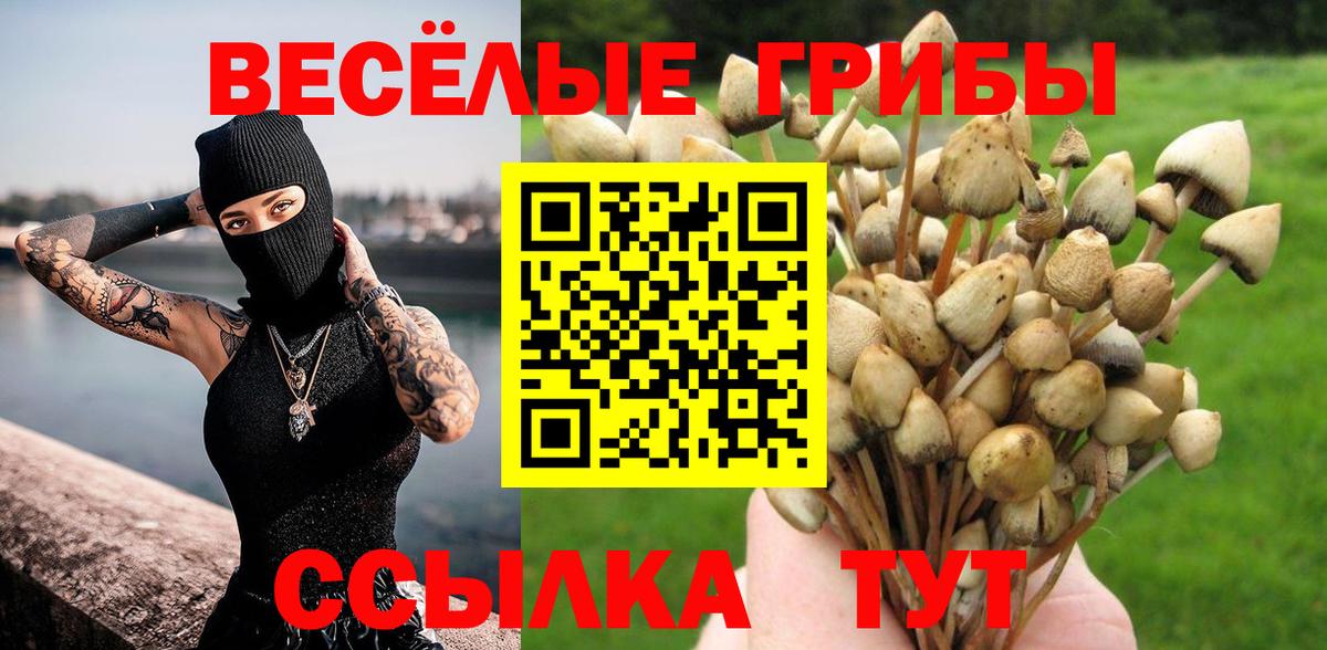 Псилоцибиновые грибы мицелий Кингисепп